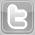 twitterlogodsm1